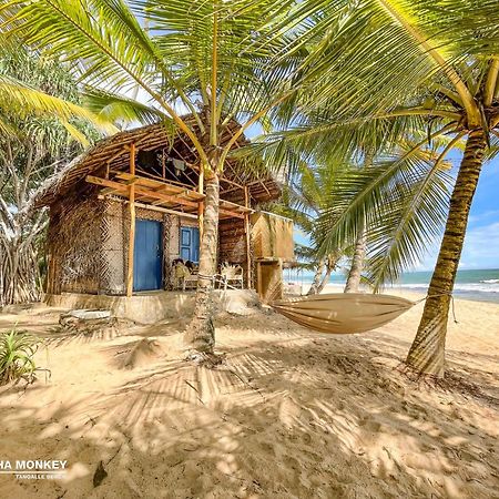The Alpha Monkey Hotel & Tree House Tangalle Eksteriør bilde