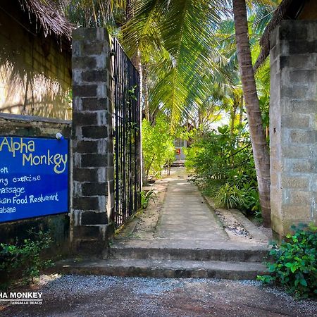 The Alpha Monkey Hotel & Tree House Tangalle Eksteriør bilde
