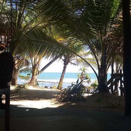 The Alpha Monkey Hotel & Tree House Tangalle Eksteriør bilde