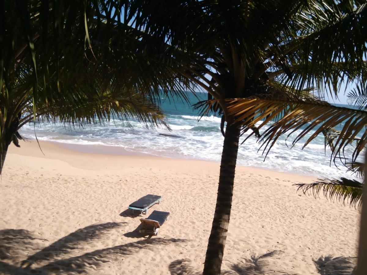 The Alpha Monkey Hotel & Tree House Tangalle Eksteriør bilde