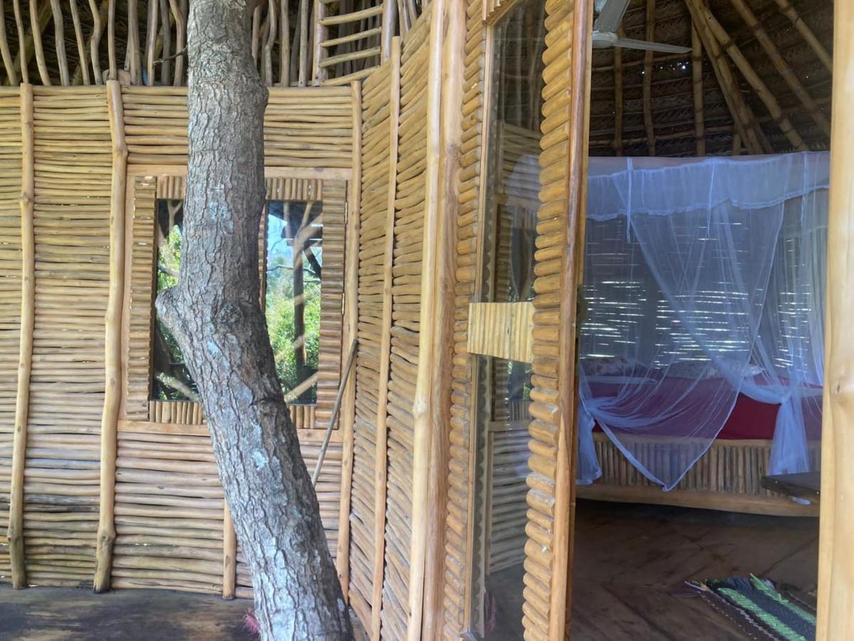 The Alpha Monkey Hotel & Tree House Tangalle Eksteriør bilde