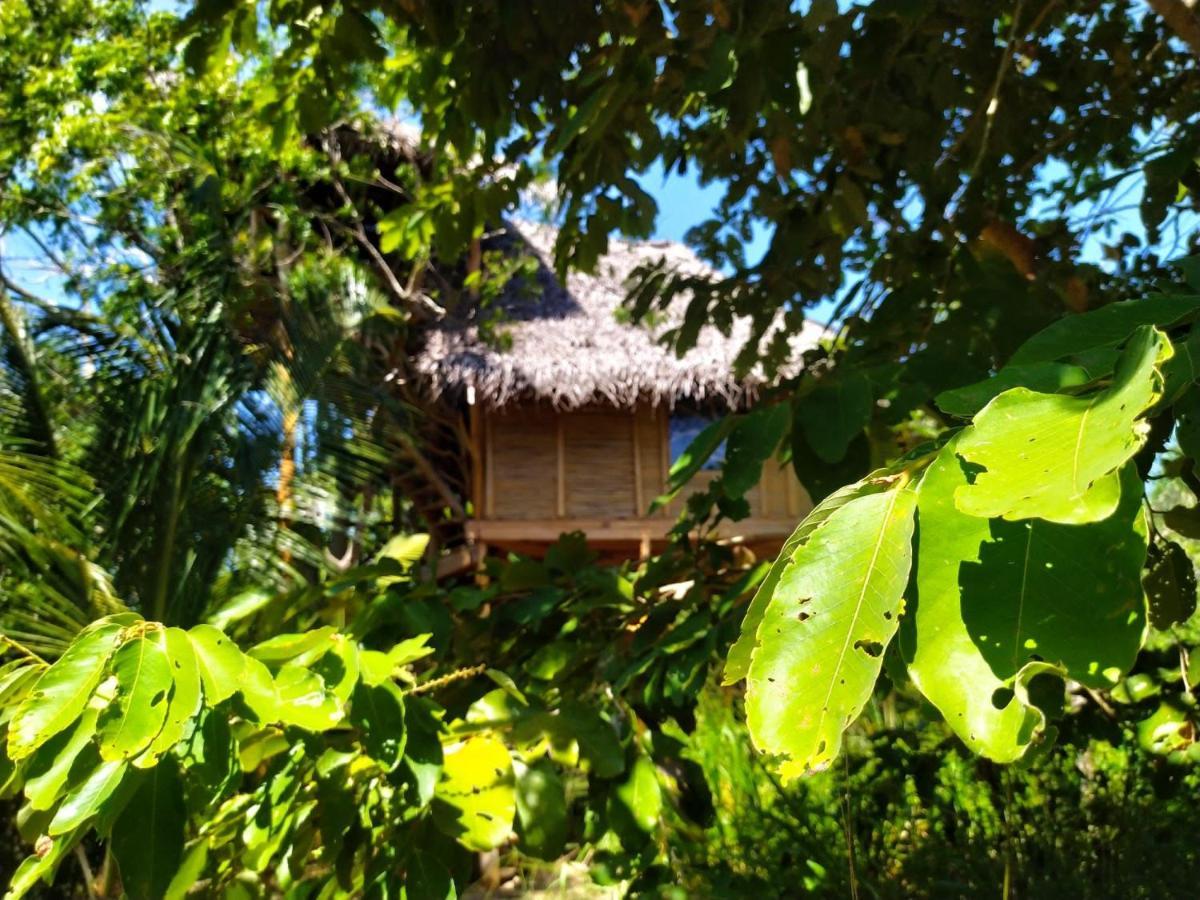The Alpha Monkey Hotel & Tree House Tangalle Eksteriør bilde