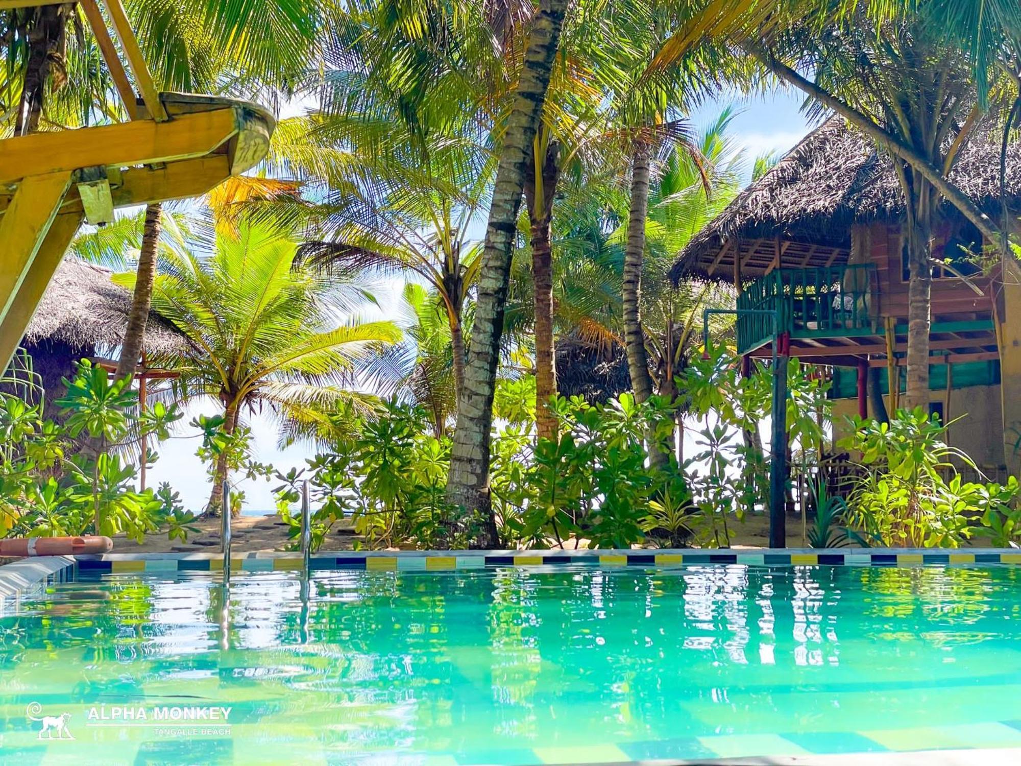The Alpha Monkey Hotel & Tree House Tangalle Eksteriør bilde