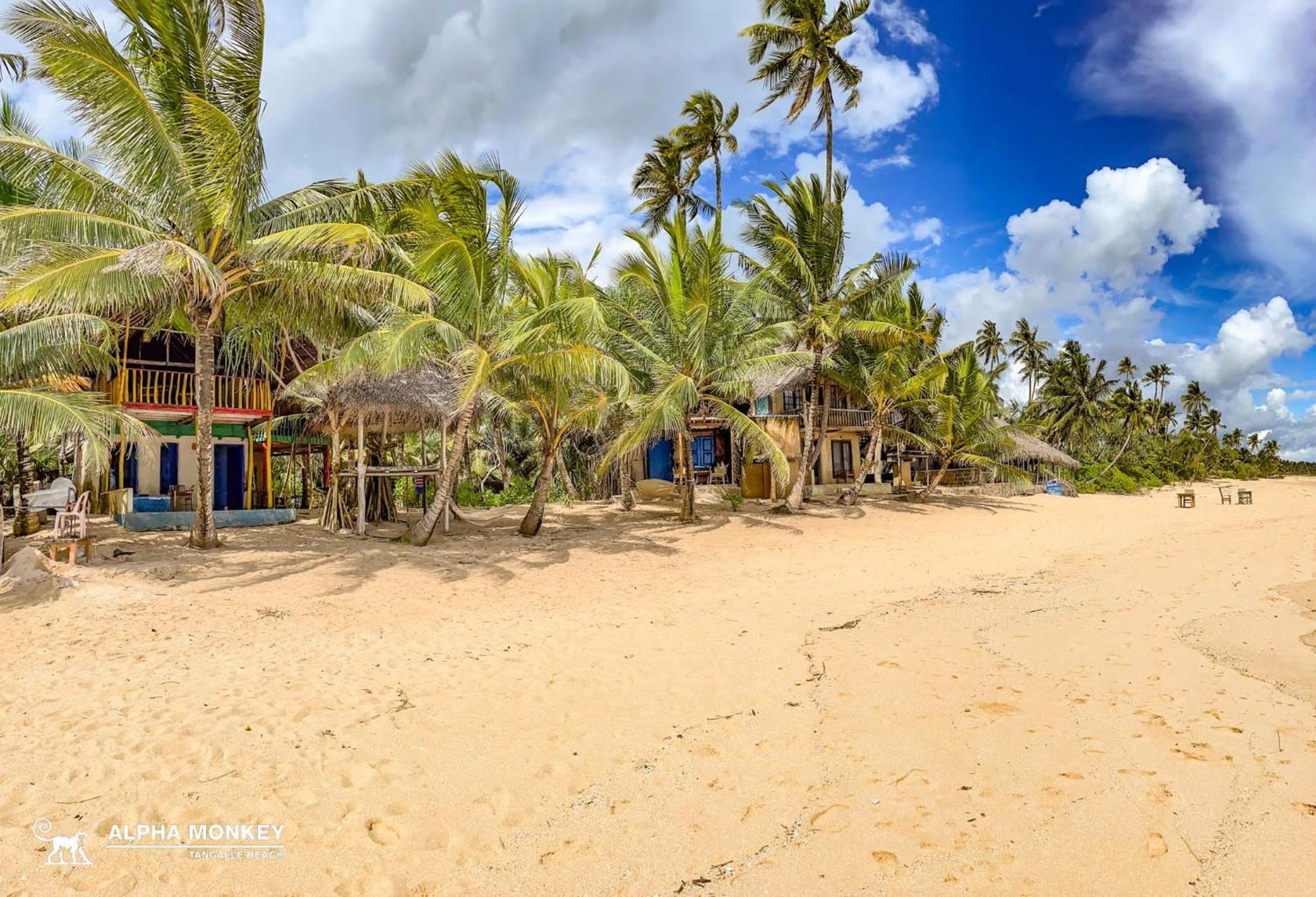 The Alpha Monkey Hotel & Tree House Tangalle Eksteriør bilde