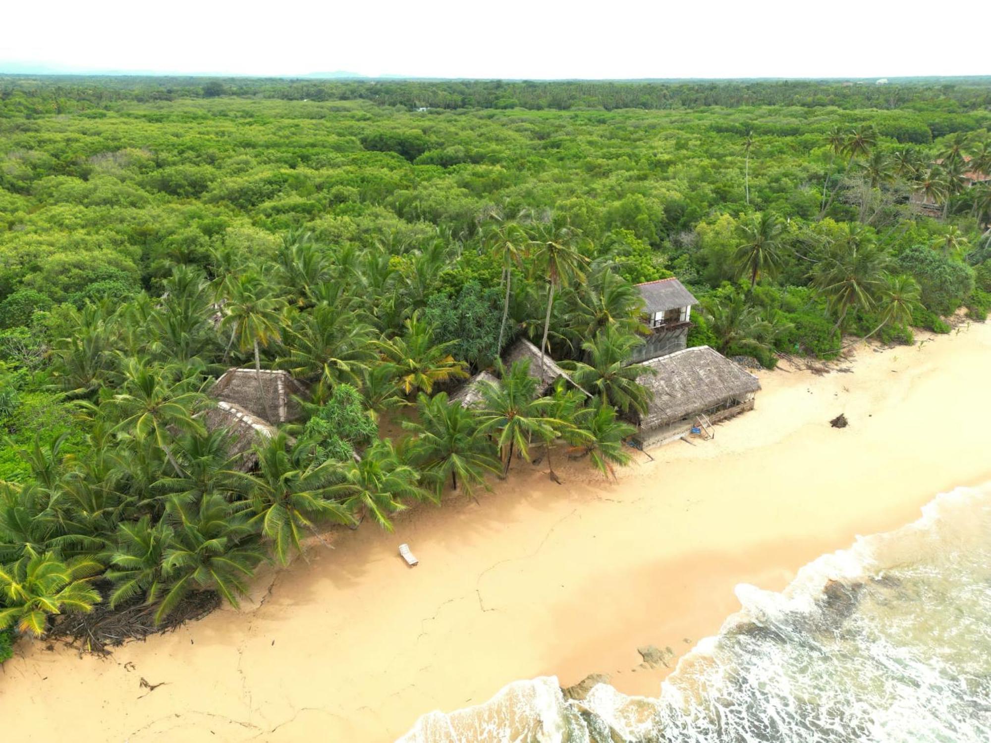 The Alpha Monkey Hotel & Tree House Tangalle Eksteriør bilde