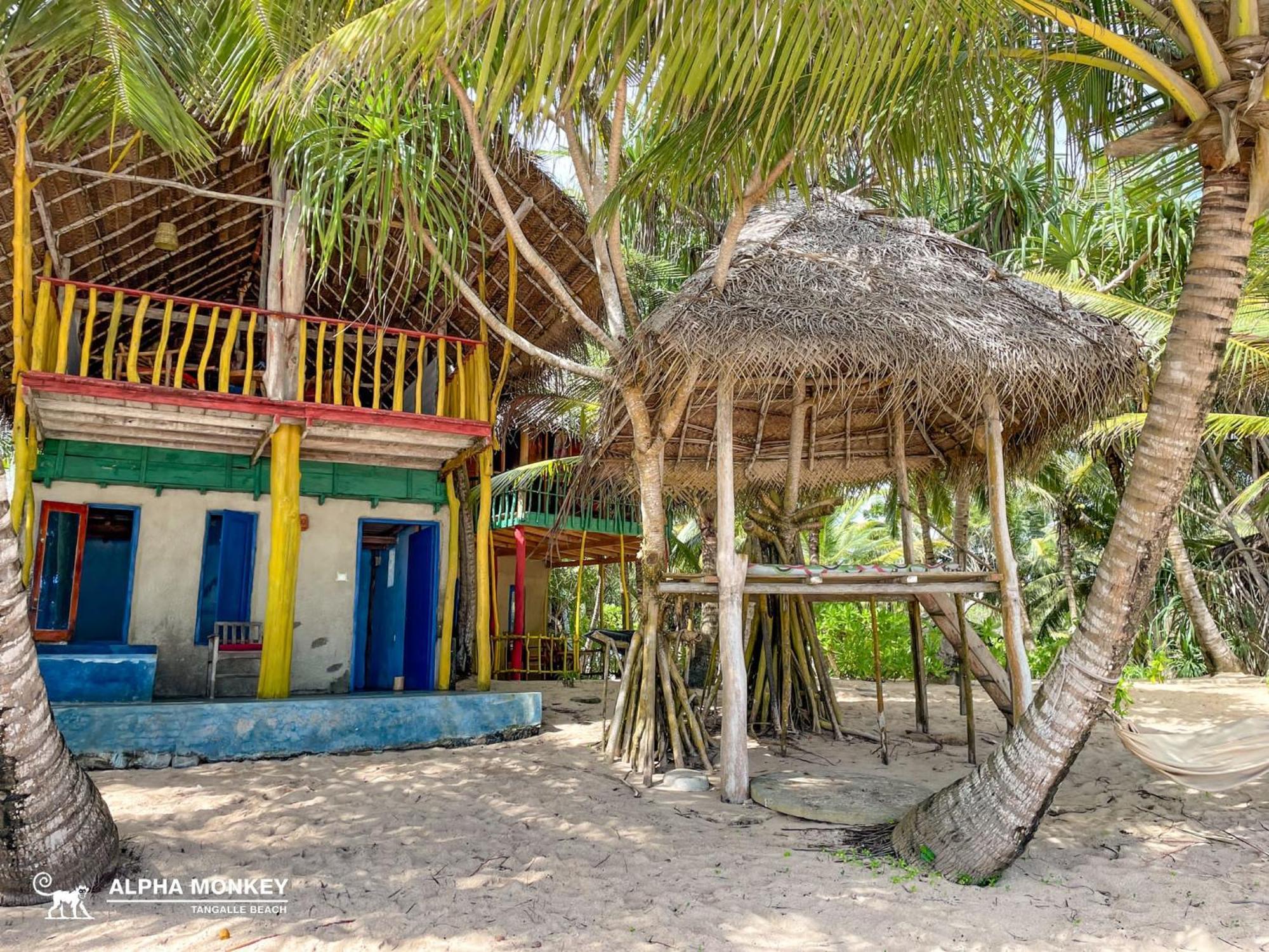 The Alpha Monkey Hotel & Tree House Tangalle Rom bilde