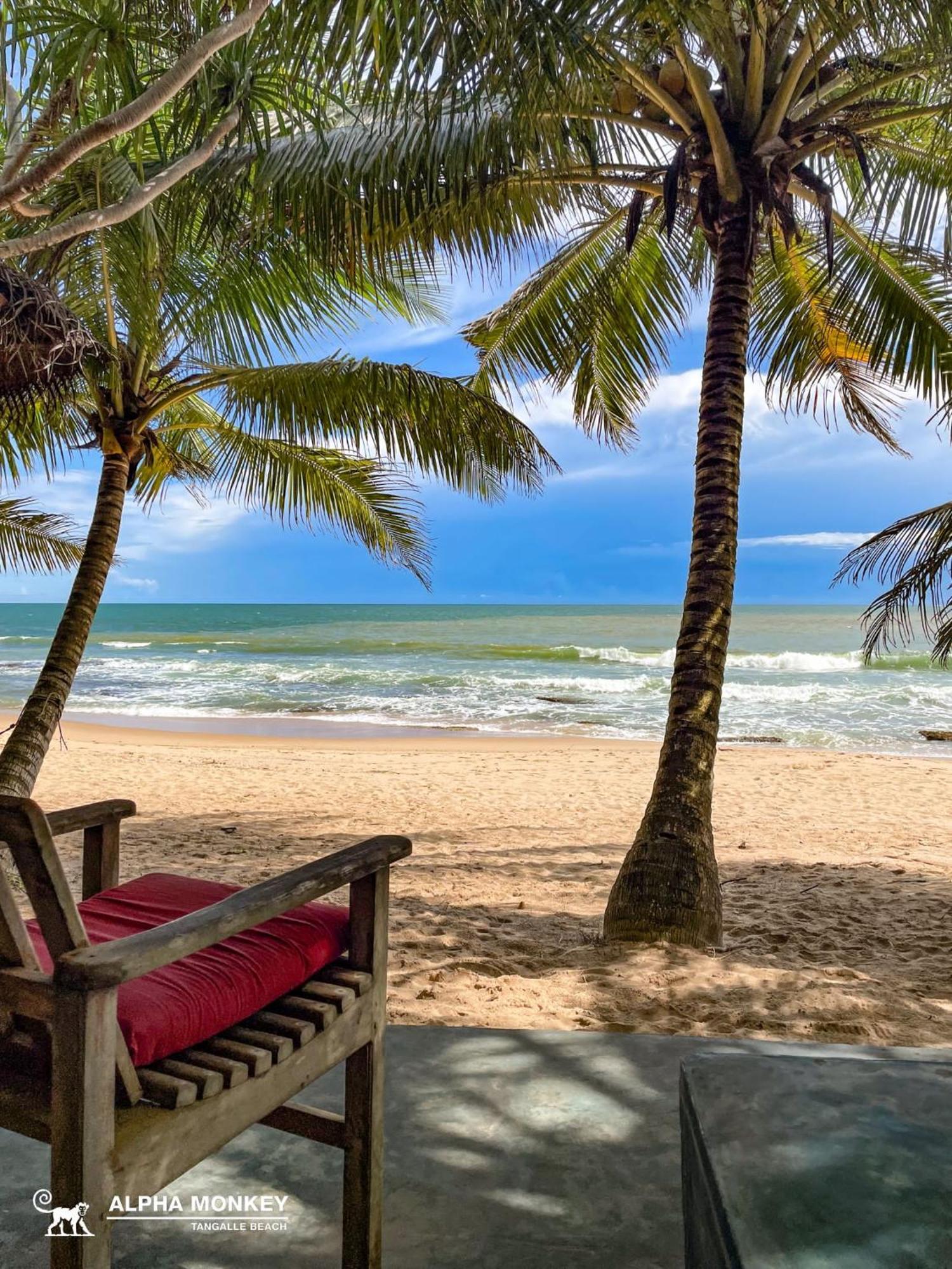 The Alpha Monkey Hotel & Tree House Tangalle Rom bilde