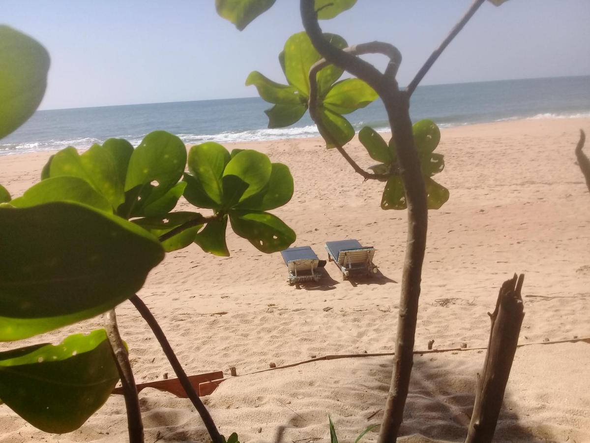 The Alpha Monkey Hotel & Tree House Tangalle Eksteriør bilde